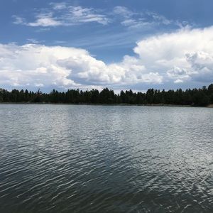 Meet your Posher, Emilia